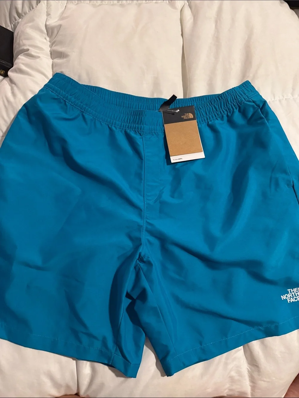 The North Face Men’s Athletic Shorts in Teal